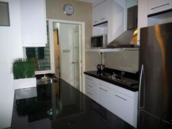 Nineteen Shelford Road (D11), Condominium #519004241